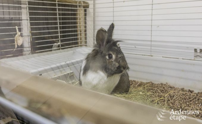 Holiday cottage in Malmedy for 7 persons in the Ardennes