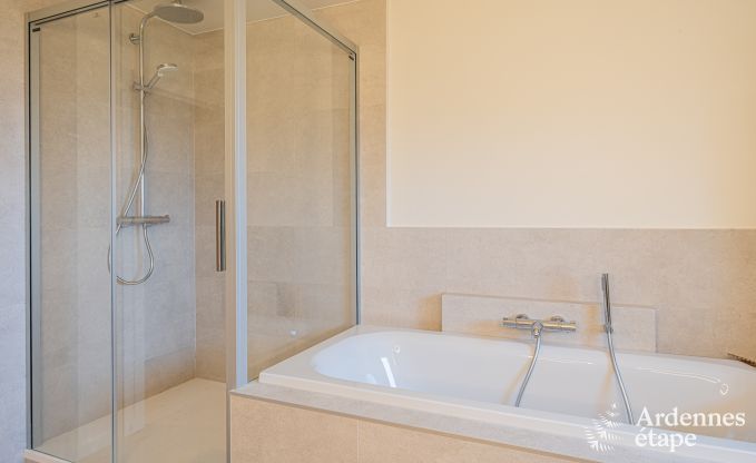 Family-friendly holiday home in Malmedy for 14 people with stove, billiards and large private garden