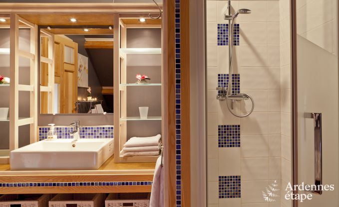 Holiday cottage in Malmedy for 10/12 persons in the Ardennes