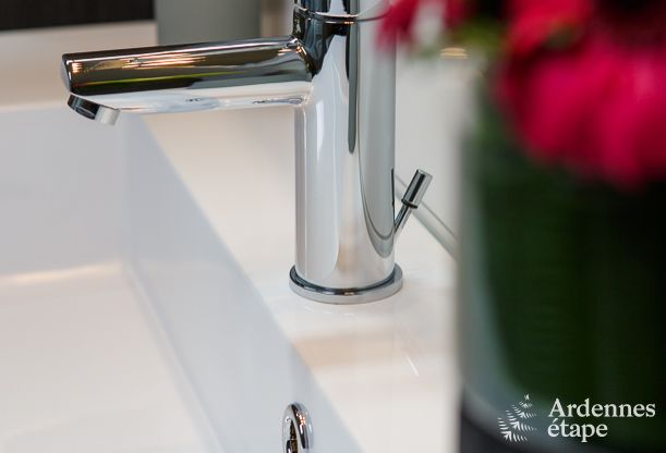 Spacious holiday home for 8 people in Malmedy with 4 bedrooms, sauna, fireplace and private garden