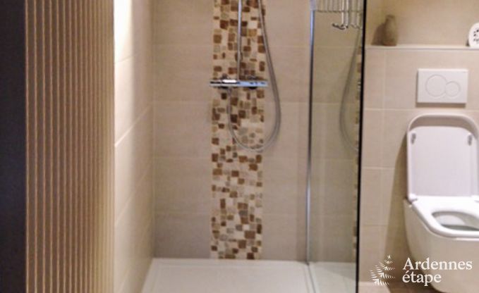 Spacious holiday home for 8 people in Malmedy with 4 bedrooms, sauna, fireplace and private garden