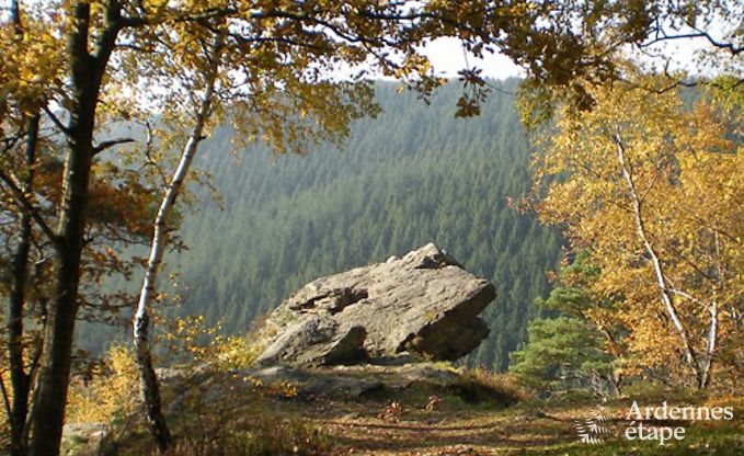 Spacious holiday home for 8 people in Malmedy with 4 bedrooms, sauna, fireplace and private garden