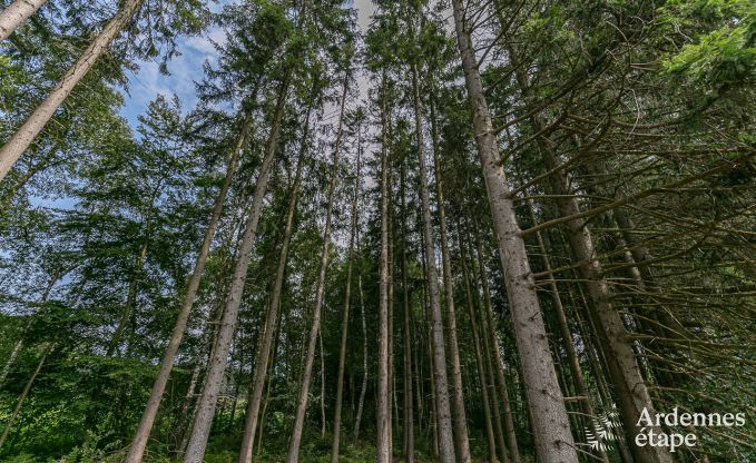 Luxury villa in Malmedy for 14 persons in the Ardennes