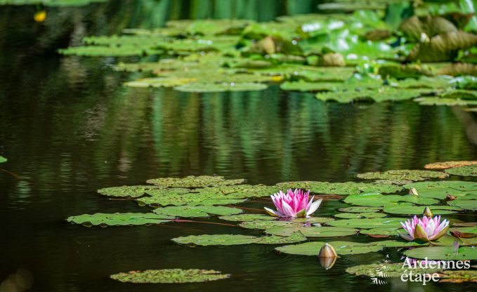 Chalet in Manhay for 2 persons in the Ardennes