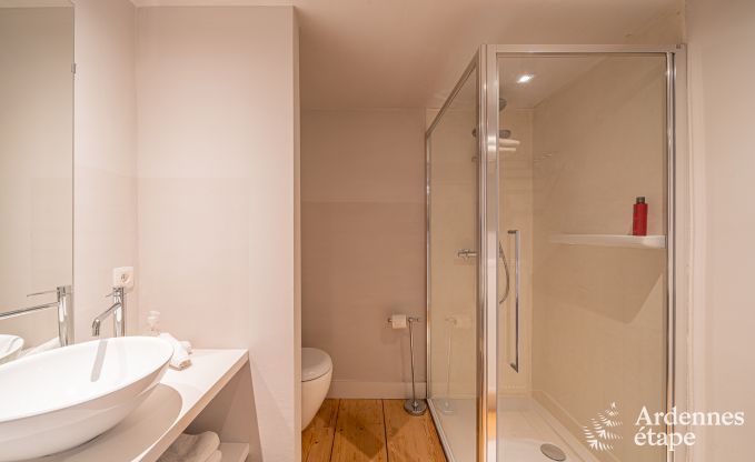 Charming and stylish little farmhouse for 14 people and 2 dogs in Manhay