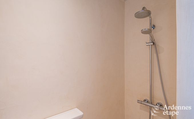 Charming and stylish little farmhouse for 14 people and 2 dogs in Manhay