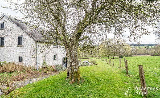 Charming and stylish little farmhouse for 14 people and 2 dogs in Manhay