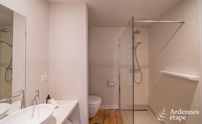 Charming and stylish little farmhouse for 14 people and 2 dogs in Manhay