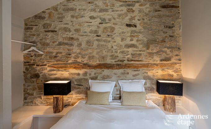 Charming and stylish little farmhouse for 14 people and 2 dogs in Manhay