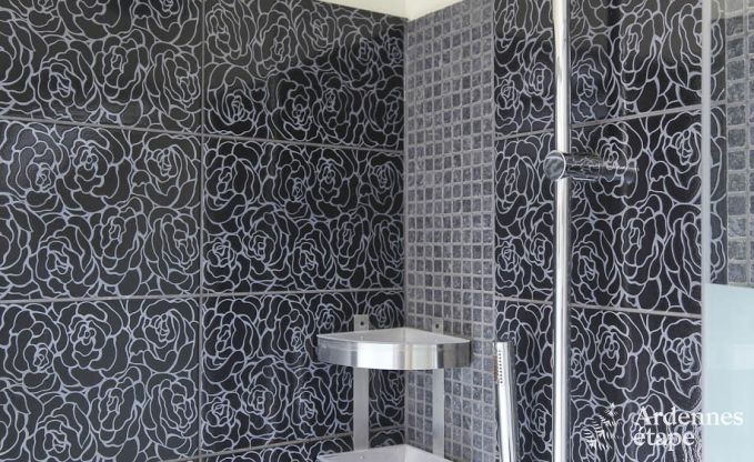 Luxury villa in Marche-en-Famenne for 22 persons in the Ardennes