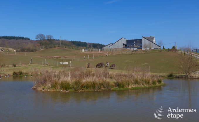 Luxury villa in Marche-en-Famenne for 22 persons in the Ardennes