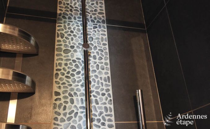 Luxury villa in Marche-en-Famenne for 22 persons in the Ardennes