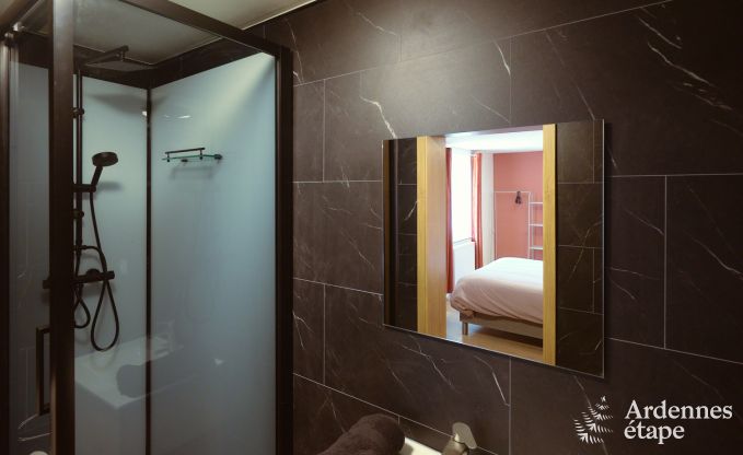 Villa in Marche-en-Famenne for 28 people with 11 bedrooms, indoor swimming pool and sauna