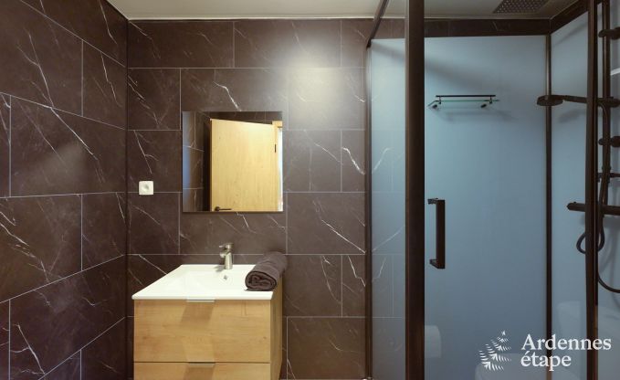 Villa in Marche-en-Famenne for 28 people with 11 bedrooms, indoor swimming pool and sauna