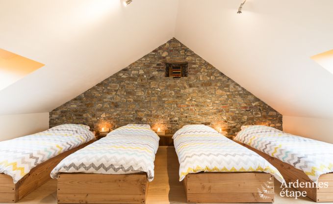 Spacious holiday cottage for 14 persons in Marche in the Belgian Ardennes