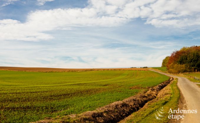 Luxury villa in Maredsous for 16 persons in the Ardennes