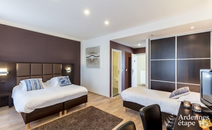 Castle in Modave for 46 persons in the Ardennes