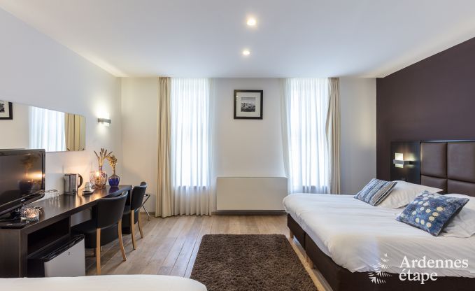 Castle in Modave for 46 persons in the Ardennes