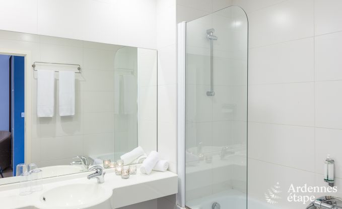 Castle in Modave for 46 persons in the Ardennes