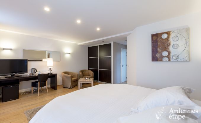 Castle in Modave for 46 persons in the Ardennes