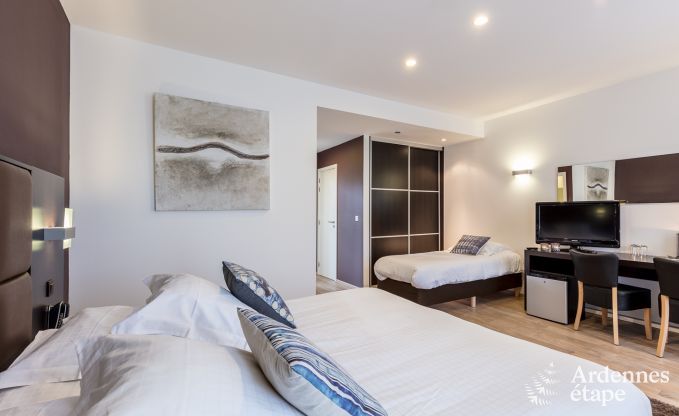 Castle in Modave for 46 persons in the Ardennes