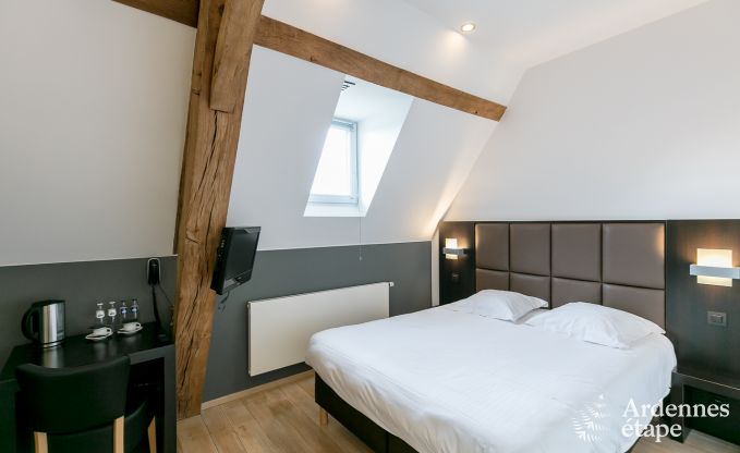 Castle in Modave for 46 persons in the Ardennes