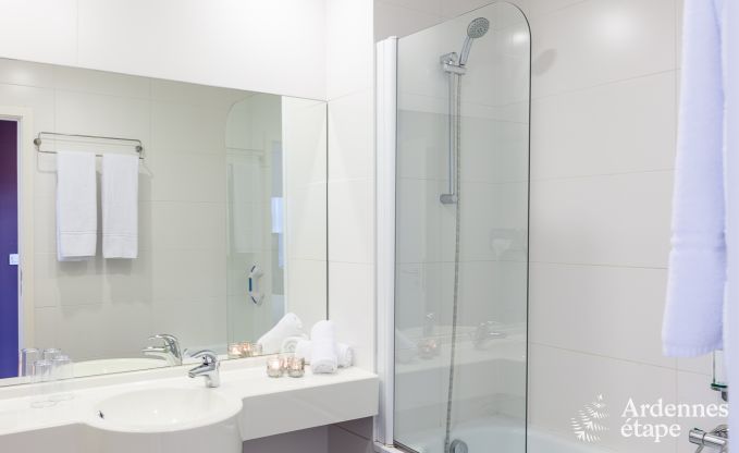 Castle in Modave for 46 persons in the Ardennes