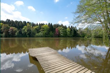 Romantic chalet on the water for 2 persons in Momignies
