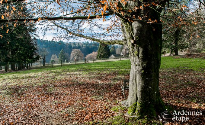 Holiday cottage in Momignies for 8 persons in the Ardennes