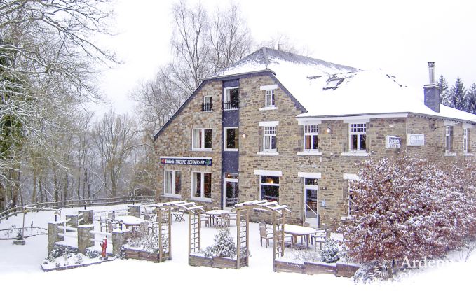 Luxury villa with pool for 28 people in Nadrin (Ardennes)