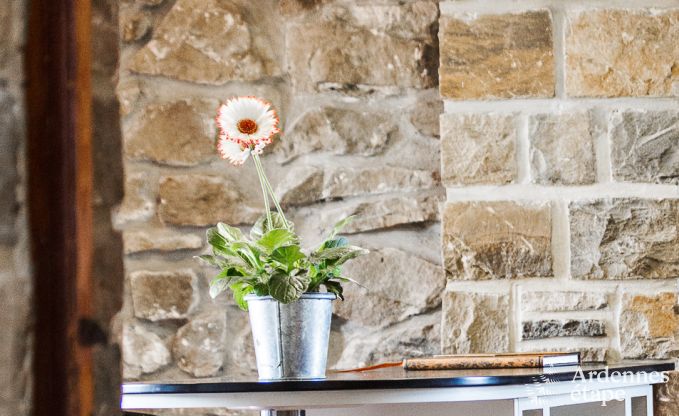 Holiday cottage in Namur for 9 persons in the Ardennes