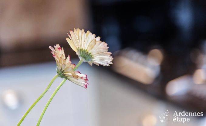 Holiday cottage in Namur for 9 persons in the Ardennes