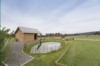 Holiday on a farm in Nassogne for 4 persons in the Ardennes