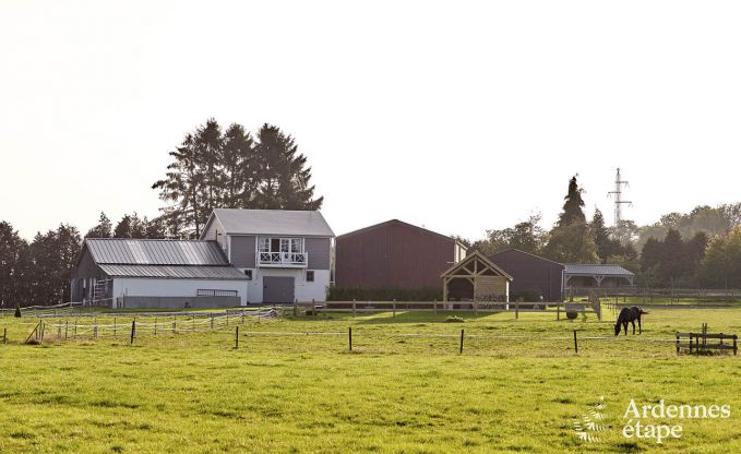 Holiday on a farm in Nassogne for 4 persons in the Ardennes