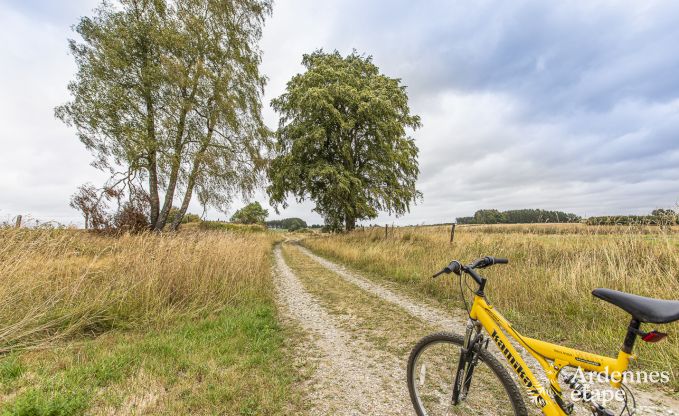 Holiday cottage in Neufchateau for 9 persons in the Ardennes