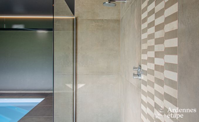 Luxury villa with indoor pool in Neufchteau for 8 people, perfect for families and couples