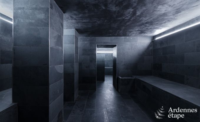 Luxury villa in Neufch�teau for 20 people with large wellness area