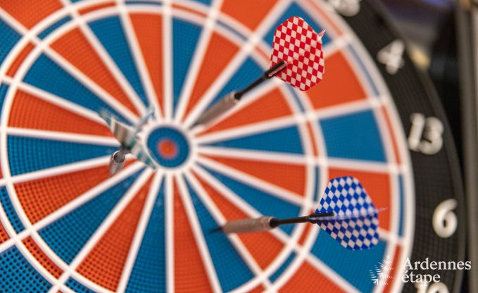 Luxury villa in Neufch�teau for 20 people with large wellness area