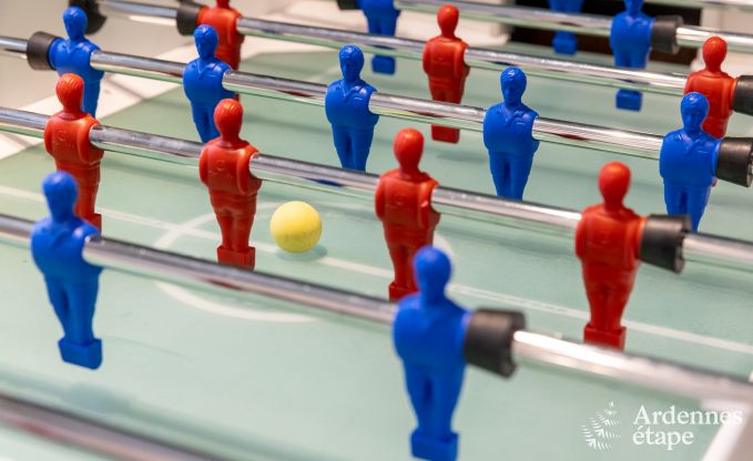 Luxury villa in Neufch�teau for 20 people with large wellness area