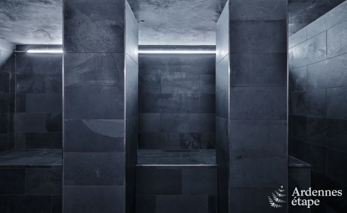 Luxury villa in Neufch�teau for 20 people with large wellness area