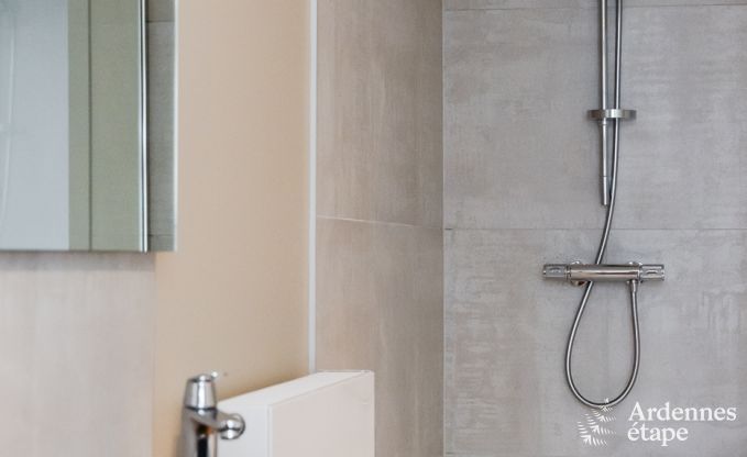 Luxury villa in Neufch�teau for 20 people with large wellness area