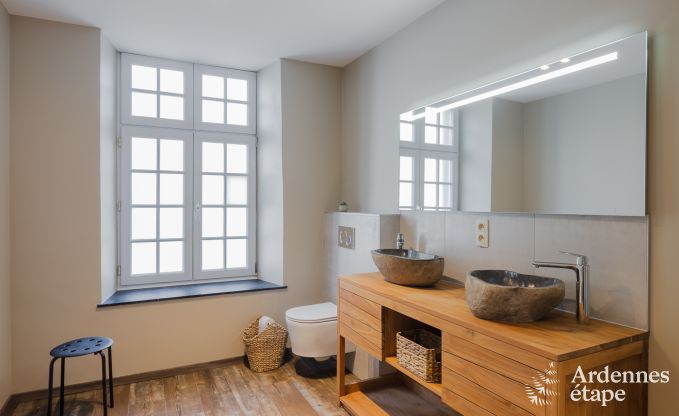 Luxury villa in Neufch�teau for 20 people with large wellness area