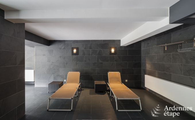 Luxury villa in Neufch�teau for 20 people with large wellness area