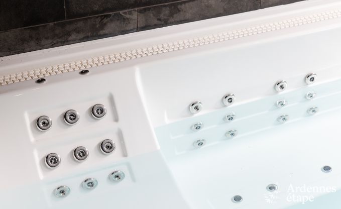 Luxury villa in Neufch�teau for 20 people with large wellness area