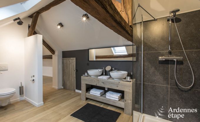 Luxurious holiday home for 13-15 people near Dinant