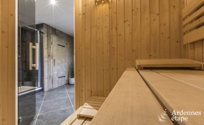 Wonderful holiday home in Onhaye with swimming pool, jacuzzi, sauna and games rooms for 14 people near Dinant