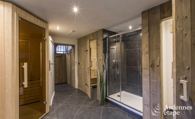 Wonderful holiday home in Onhaye with swimming pool, jacuzzi, sauna and games rooms for 14 people near Dinant