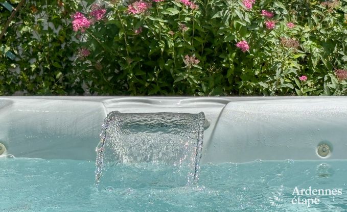 Wonderful holiday home in Onhaye with swimming pool, jacuzzi, sauna and games rooms for 14 people near Dinant