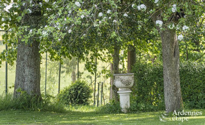 Holiday cottage with tennis court in Onhaye for 2/3 persons in the Ardennes