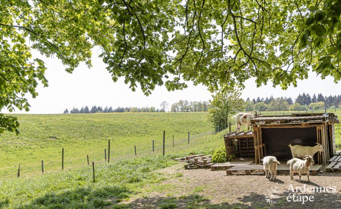 Holiday cottage with tennis court in Onhaye for 2/3 persons in the Ardennes